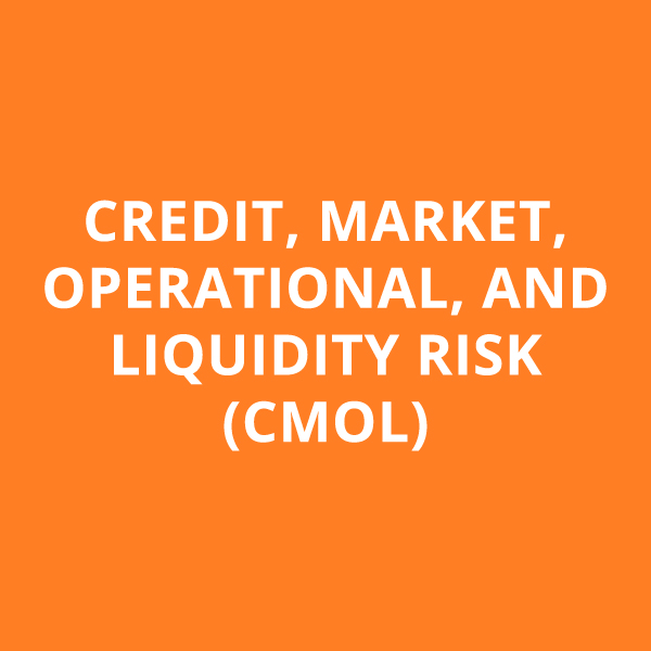 CREDIT, MARKET, OPERATIONAL, AND LIQUIDITY RISK (CMOL)